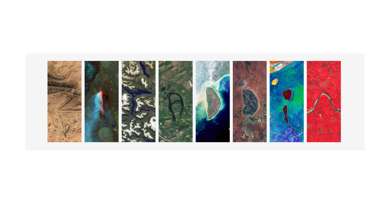 Forest Cover Type Classification with XGBoost